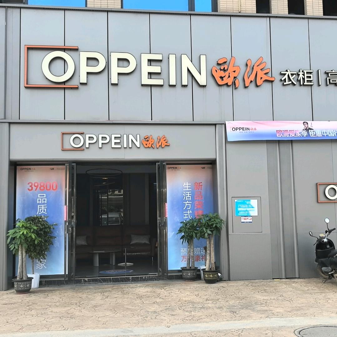 扶绥欧派衣柜