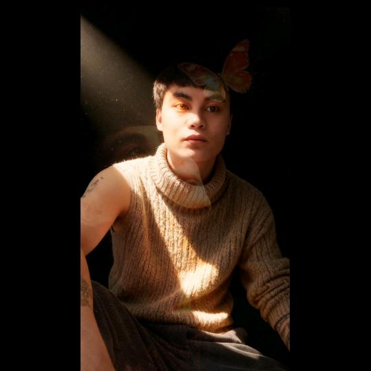 📺电影·无人续场