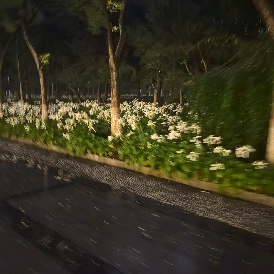 也曾想（见过马子亮）