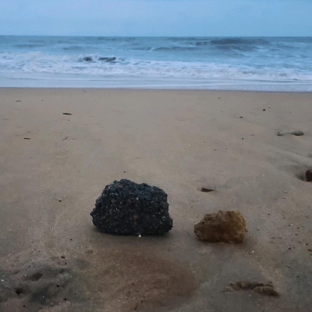 长不大