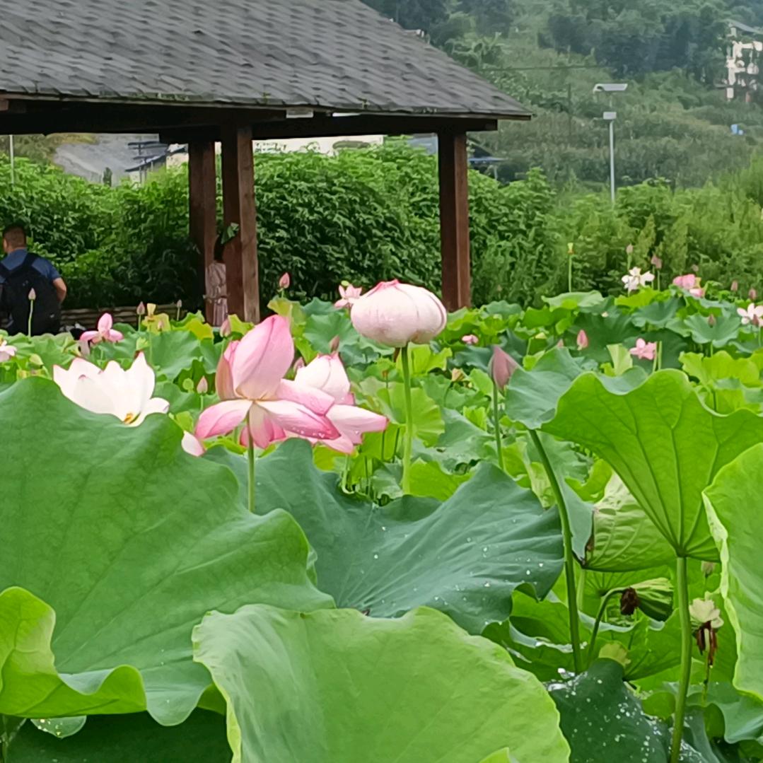 勿念旧情う