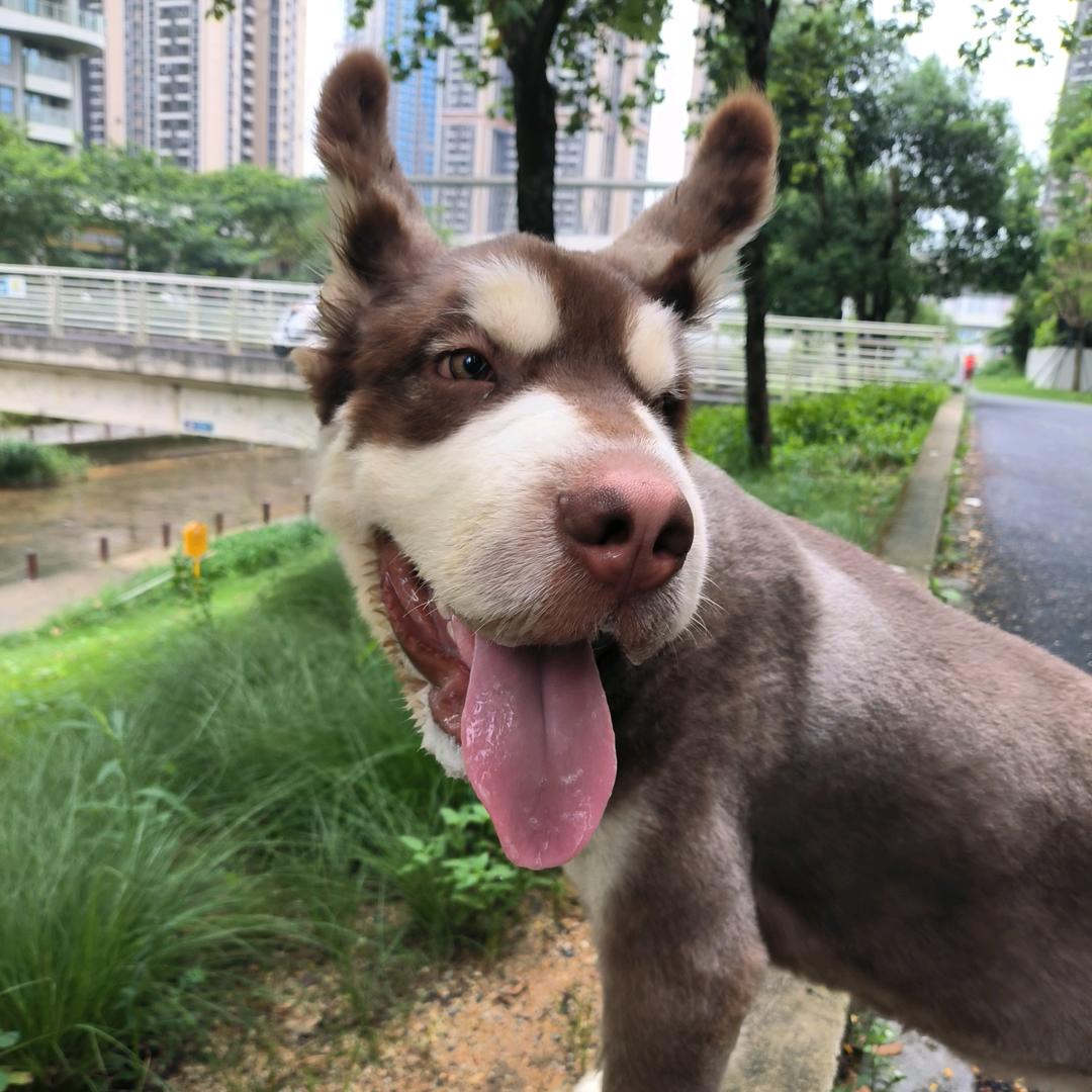 邹初一是个阿拉