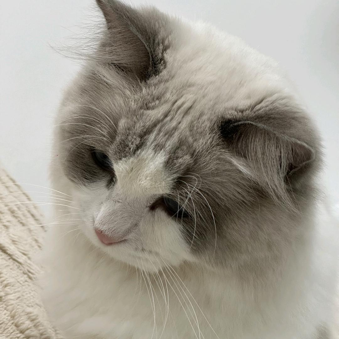 心乱.