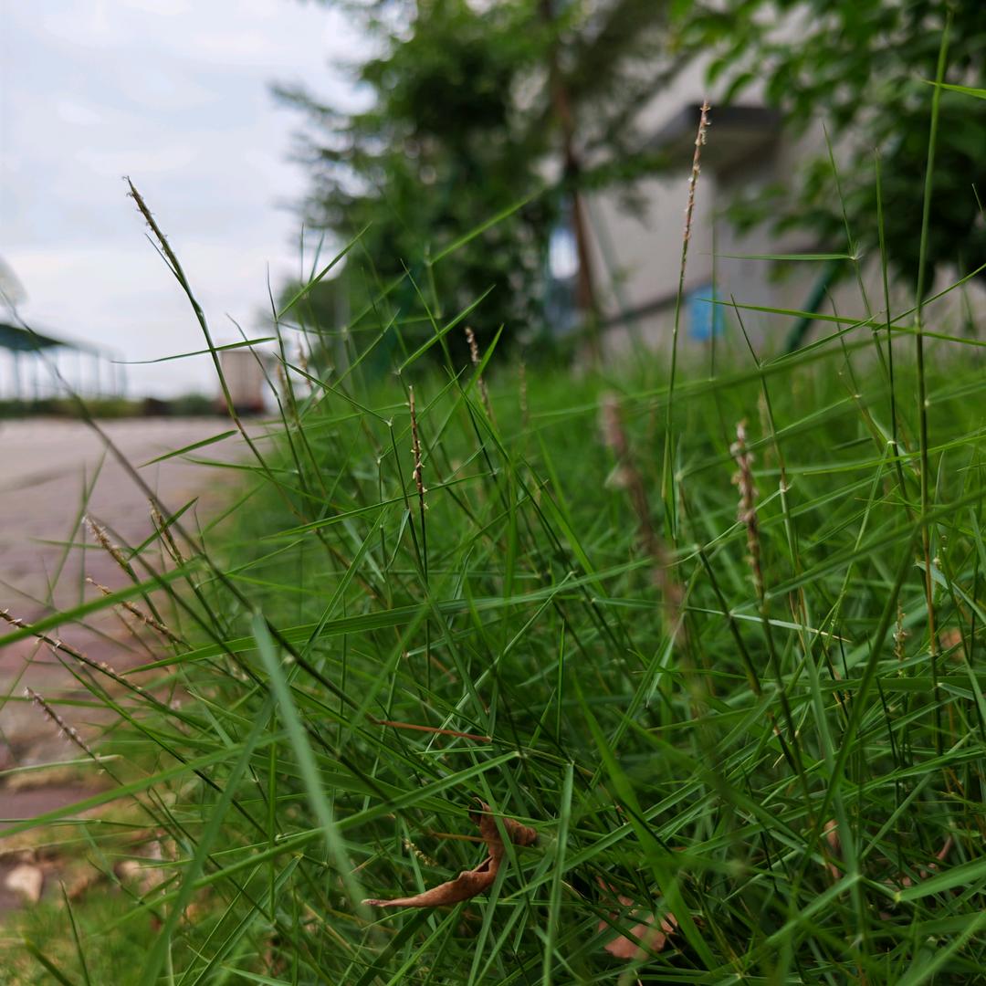 এ°煜橙᭄ﻬ এ°