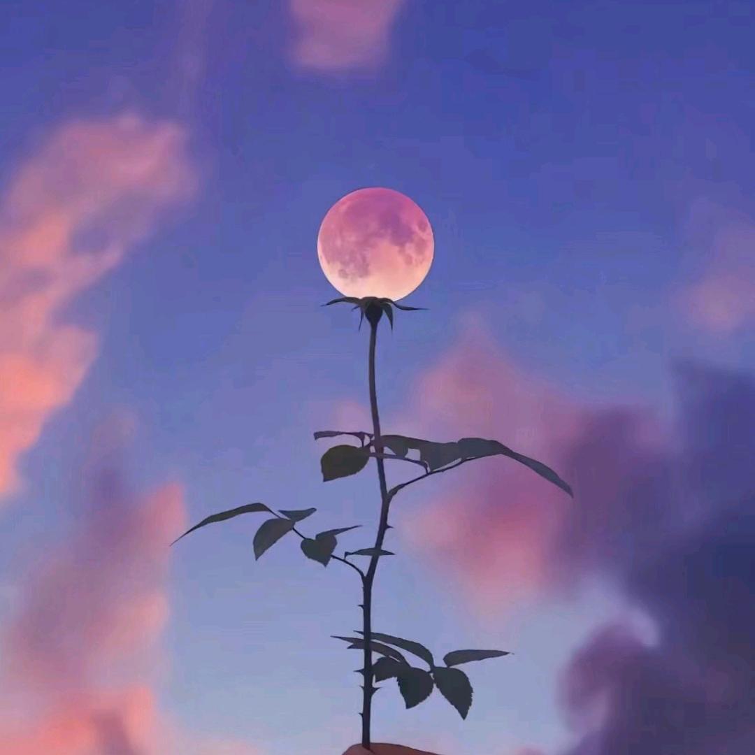 专业水电安装维修