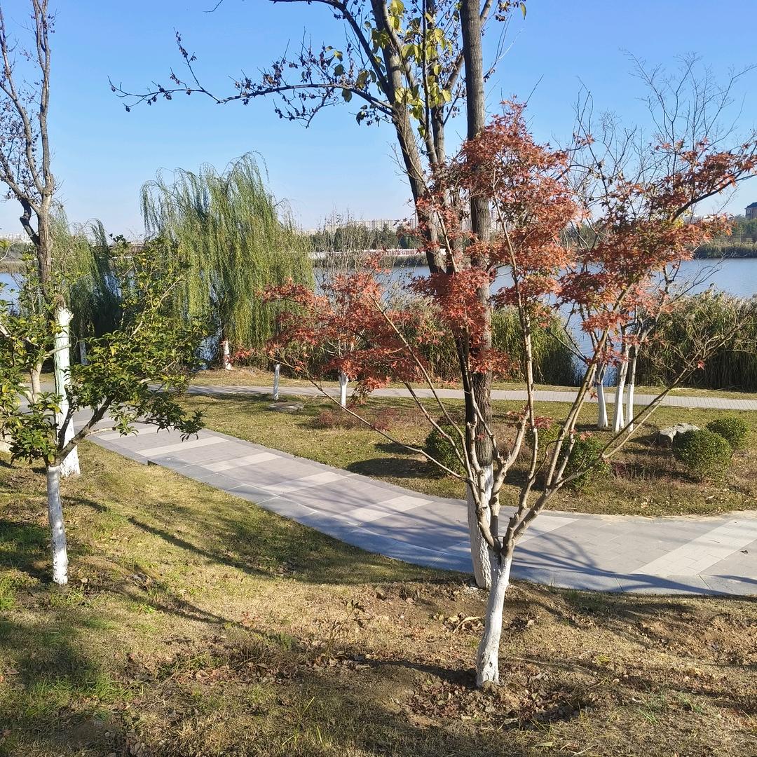 沈哥(做好自己)