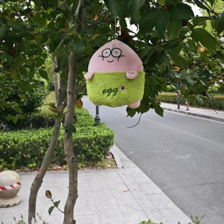 呜呼呼头像