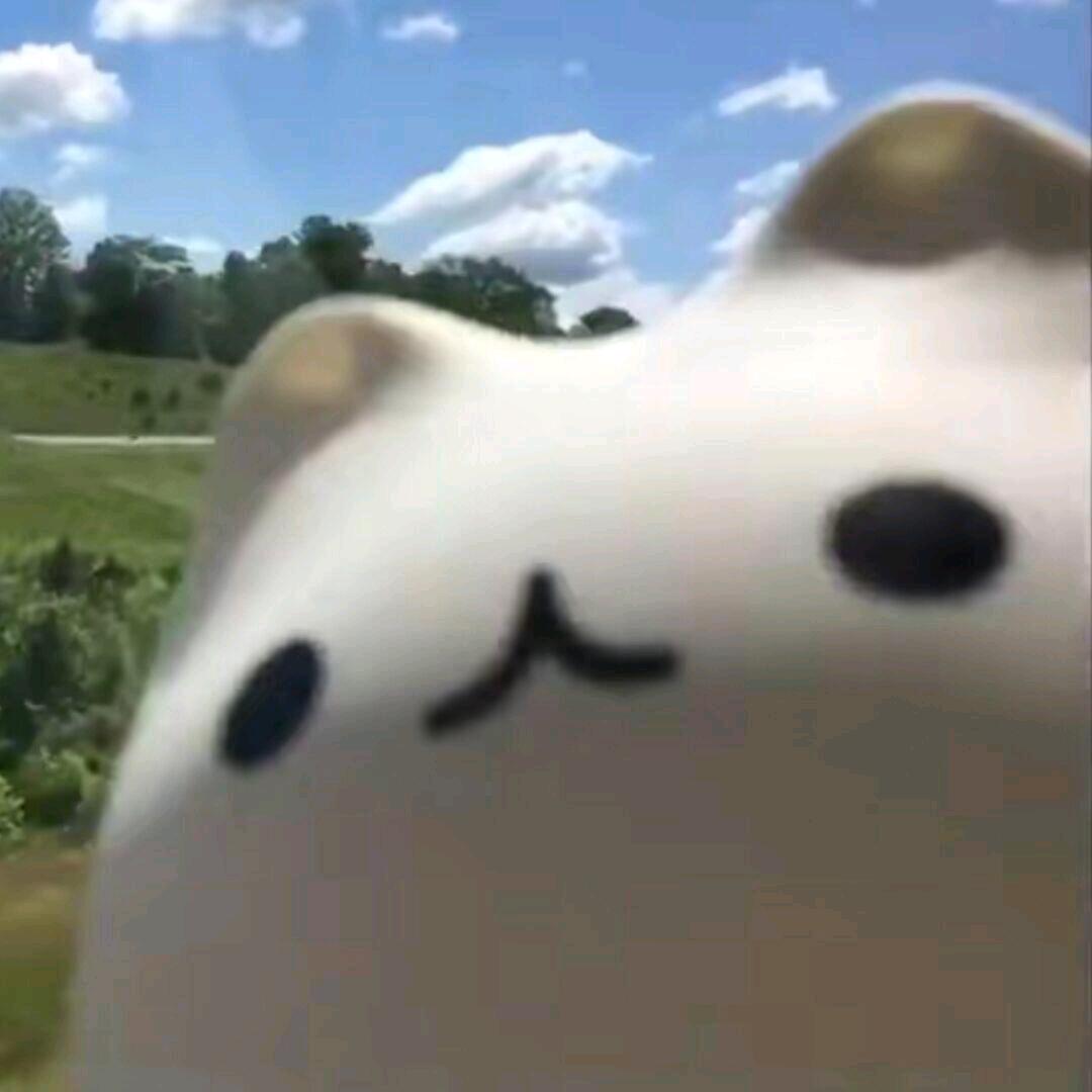 _7