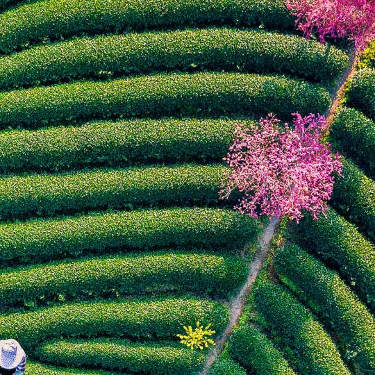 尚老师学堂2歆辽日用百货严选