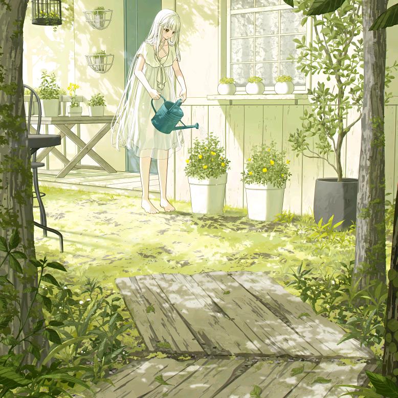 花时雨