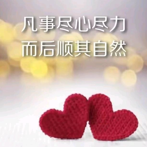 七蝎子