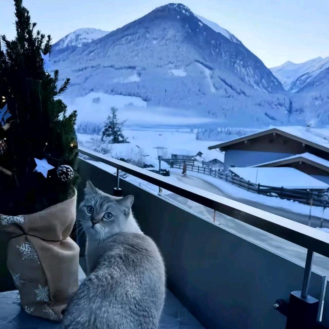 兔子（永劫无间）