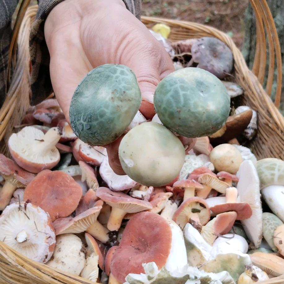 ಡ ͜ ʖ余生不将就 ಡ