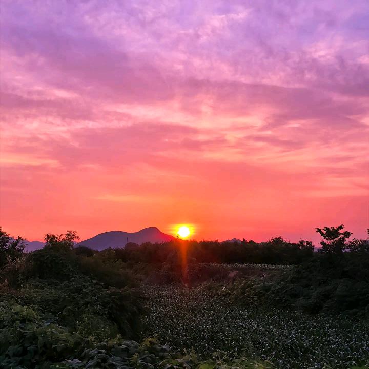 㭘柒