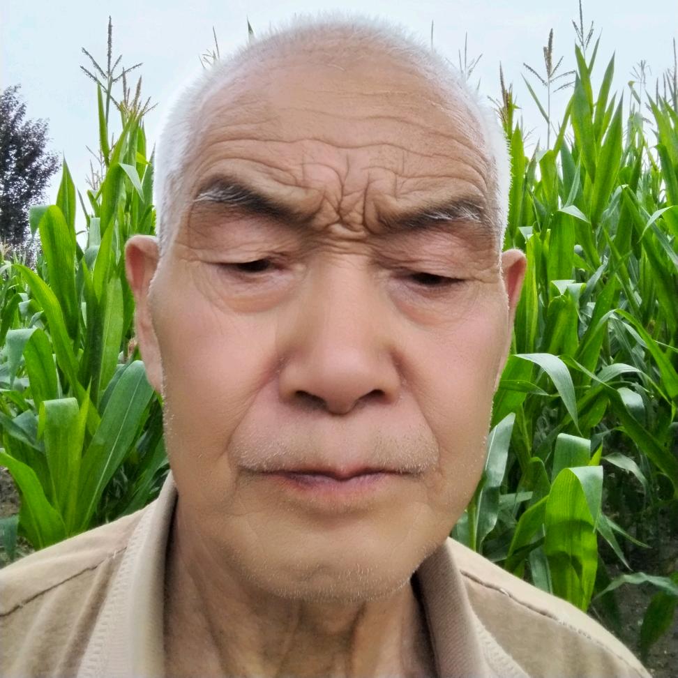 高中华哥
