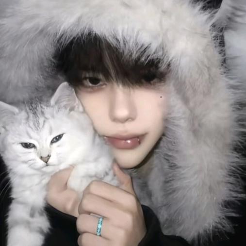 沙糖桔的猫（三角洲行动）