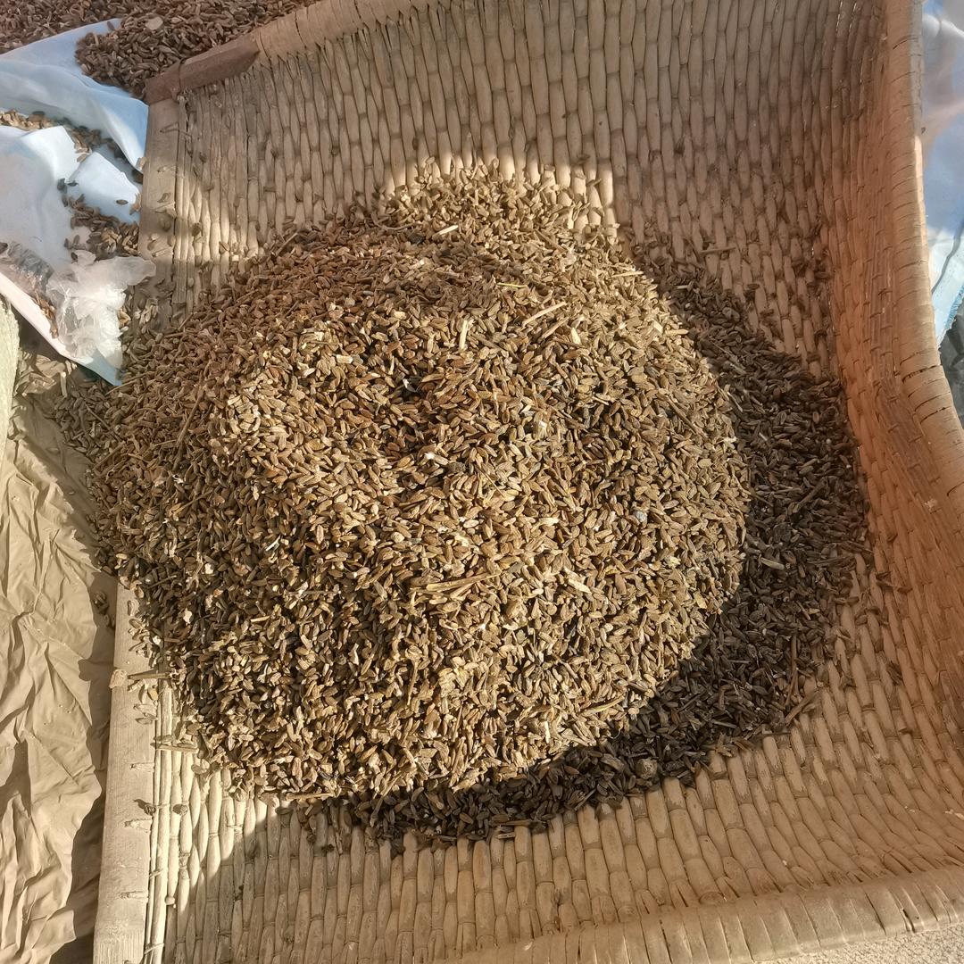 六农村人🇨🇳