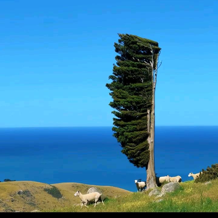 世界