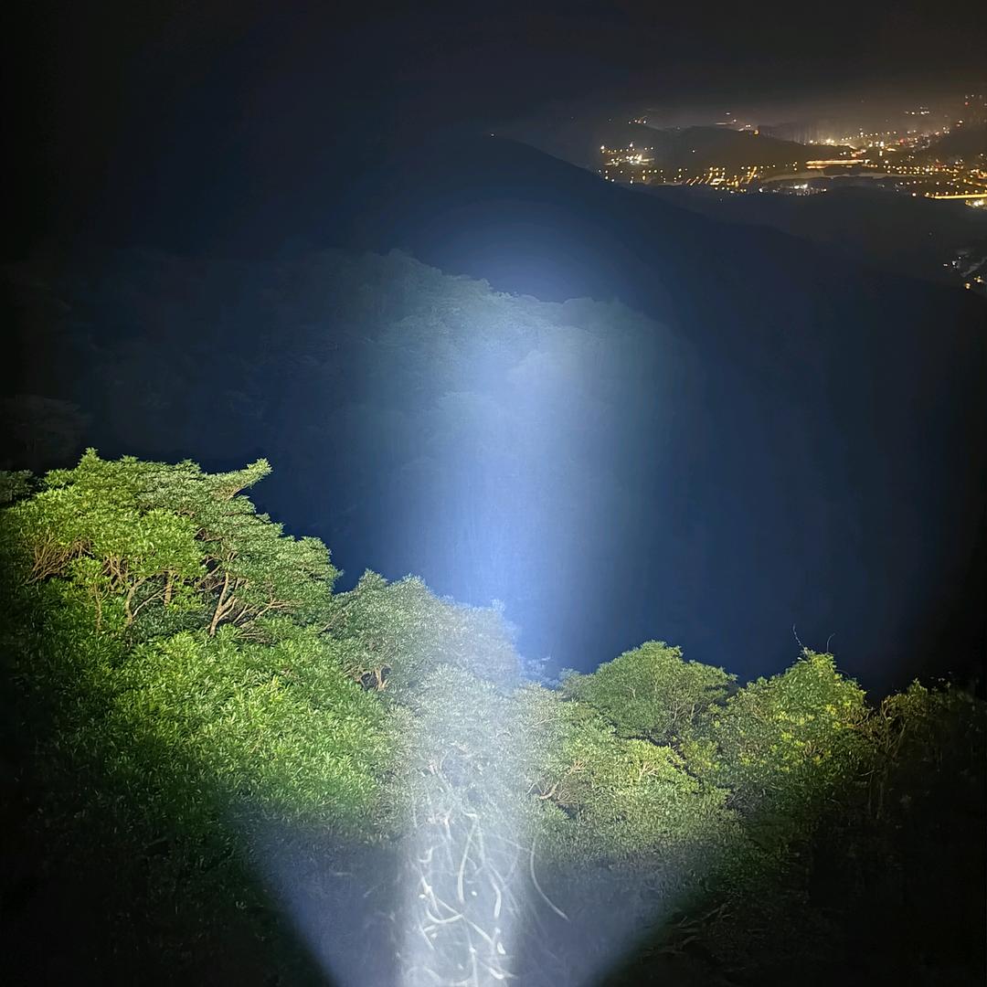 梧桐山野人