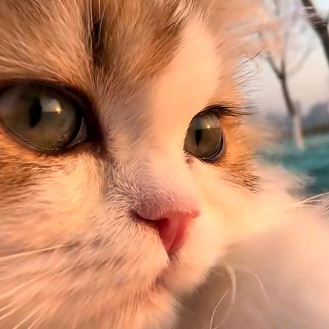 🚀天涯同航🚀