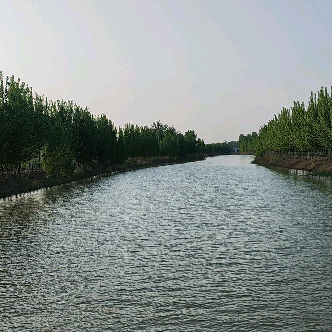 1234梦想成真