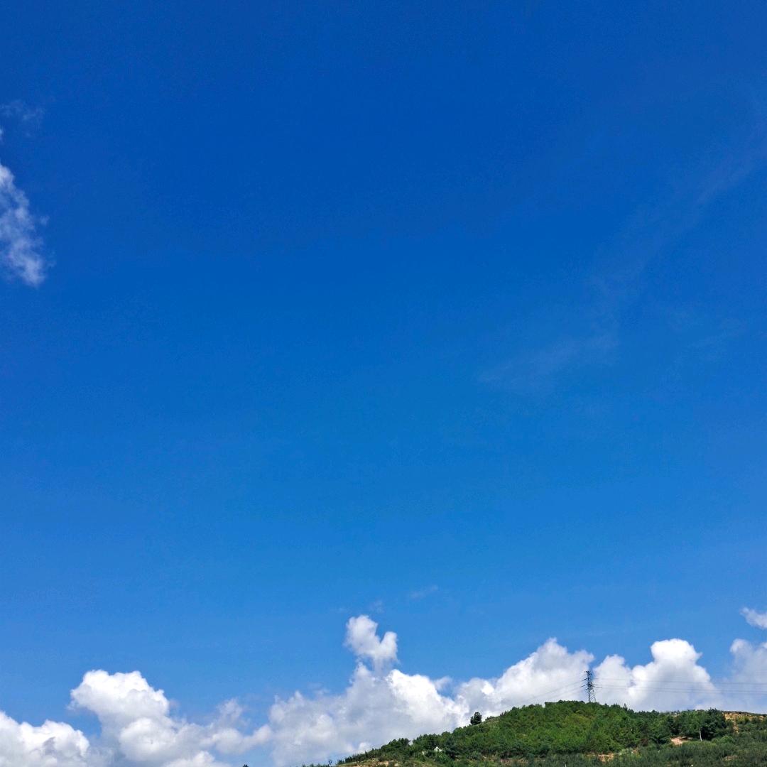 顾北凉城