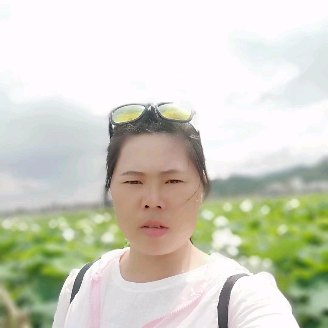 凤姐