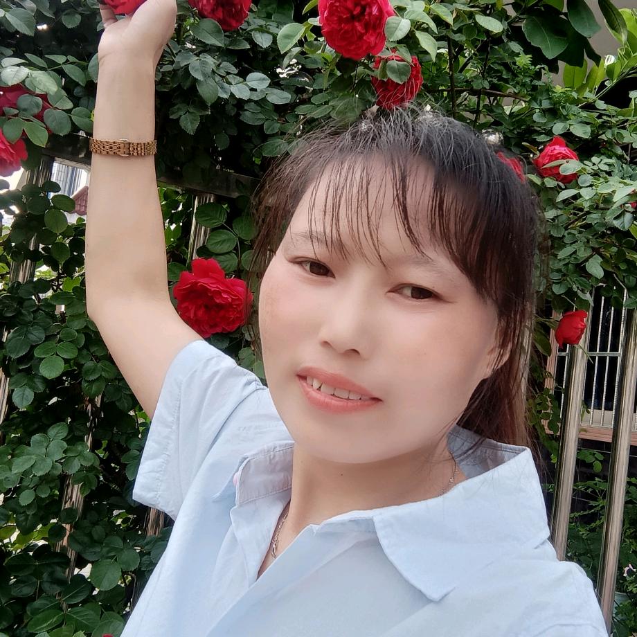 永久高飞