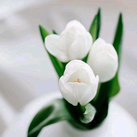 海哥（好人一生平安）