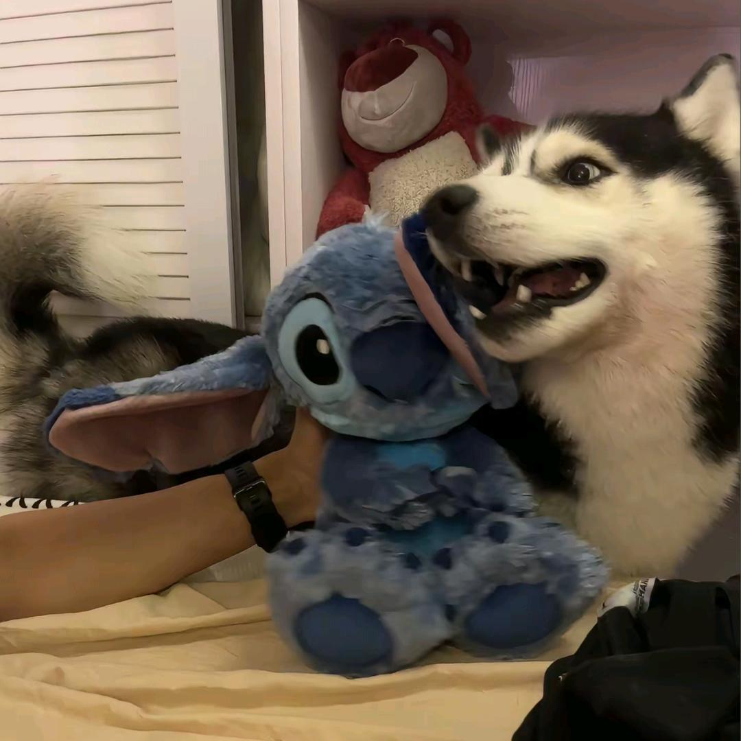 左
