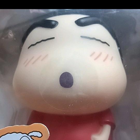 龙猫