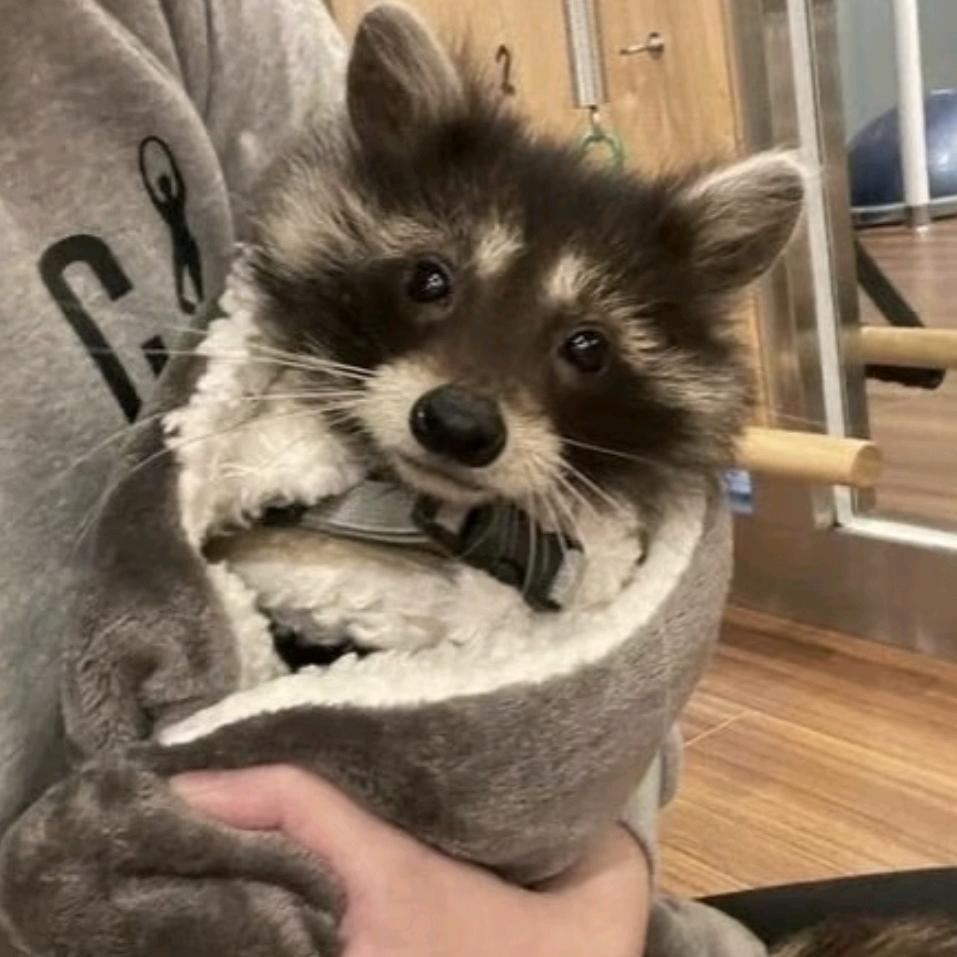 你说的话我都随便