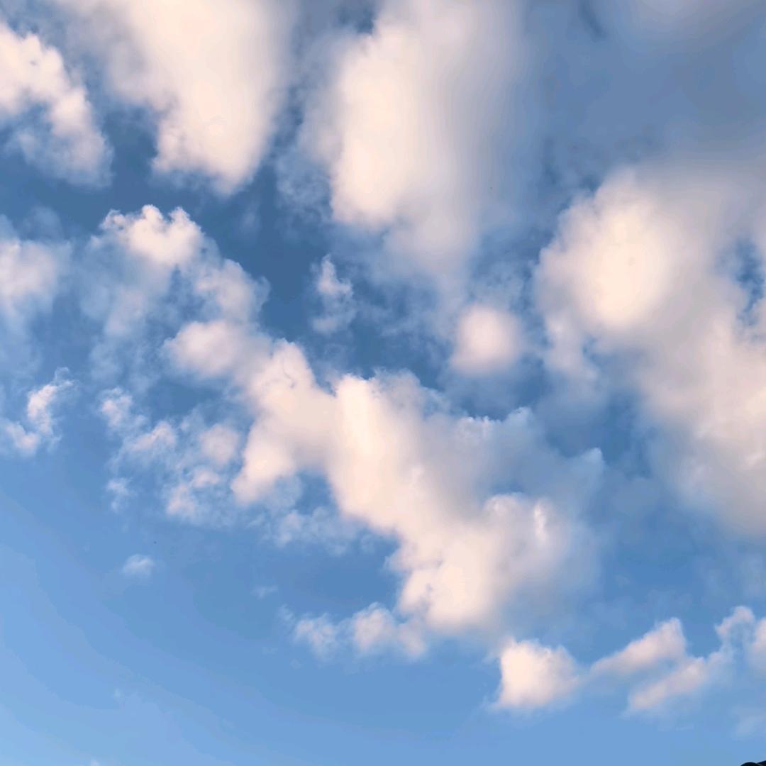 ☁云朵会说话