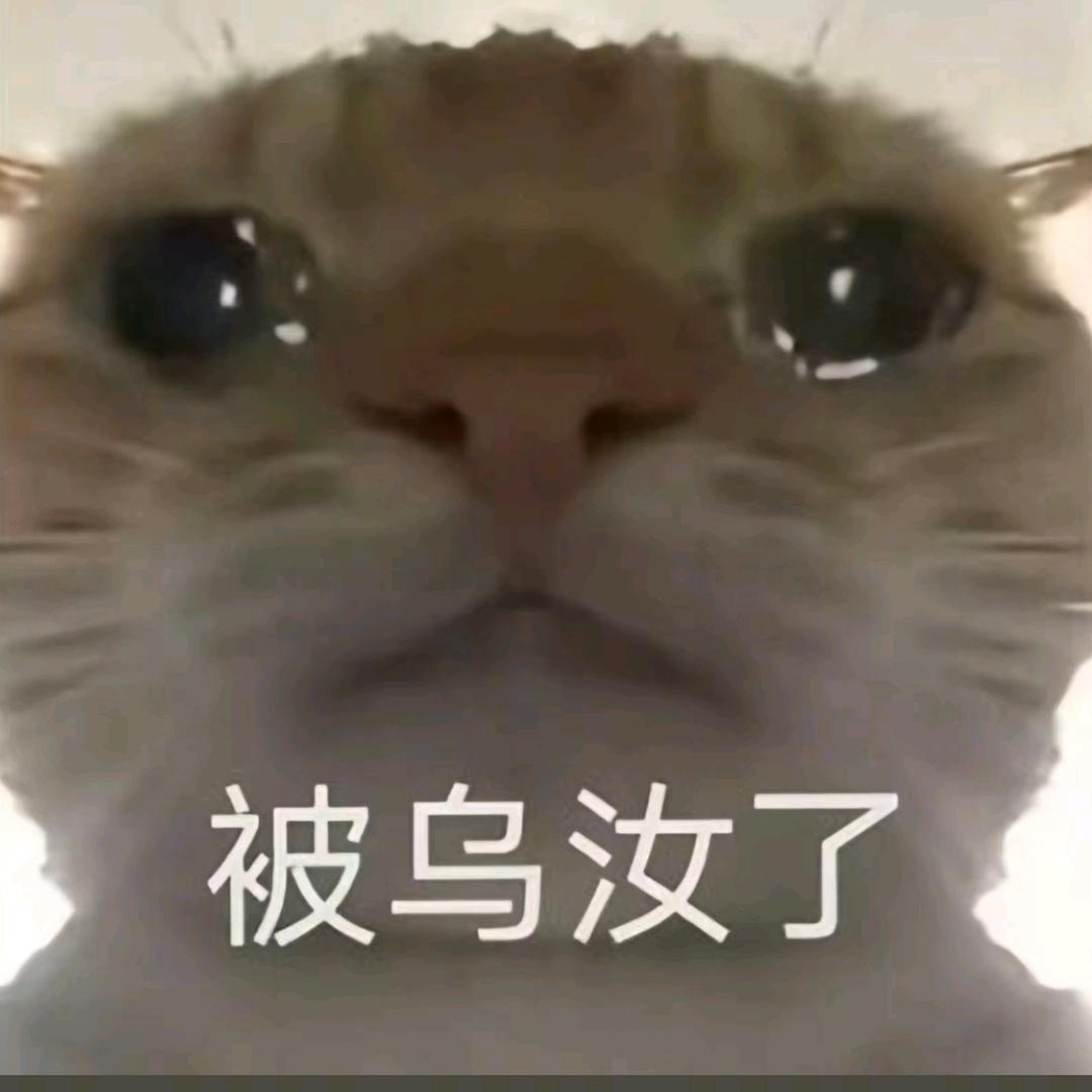 风吹过树叶的声音是风的告白，是木纳的我