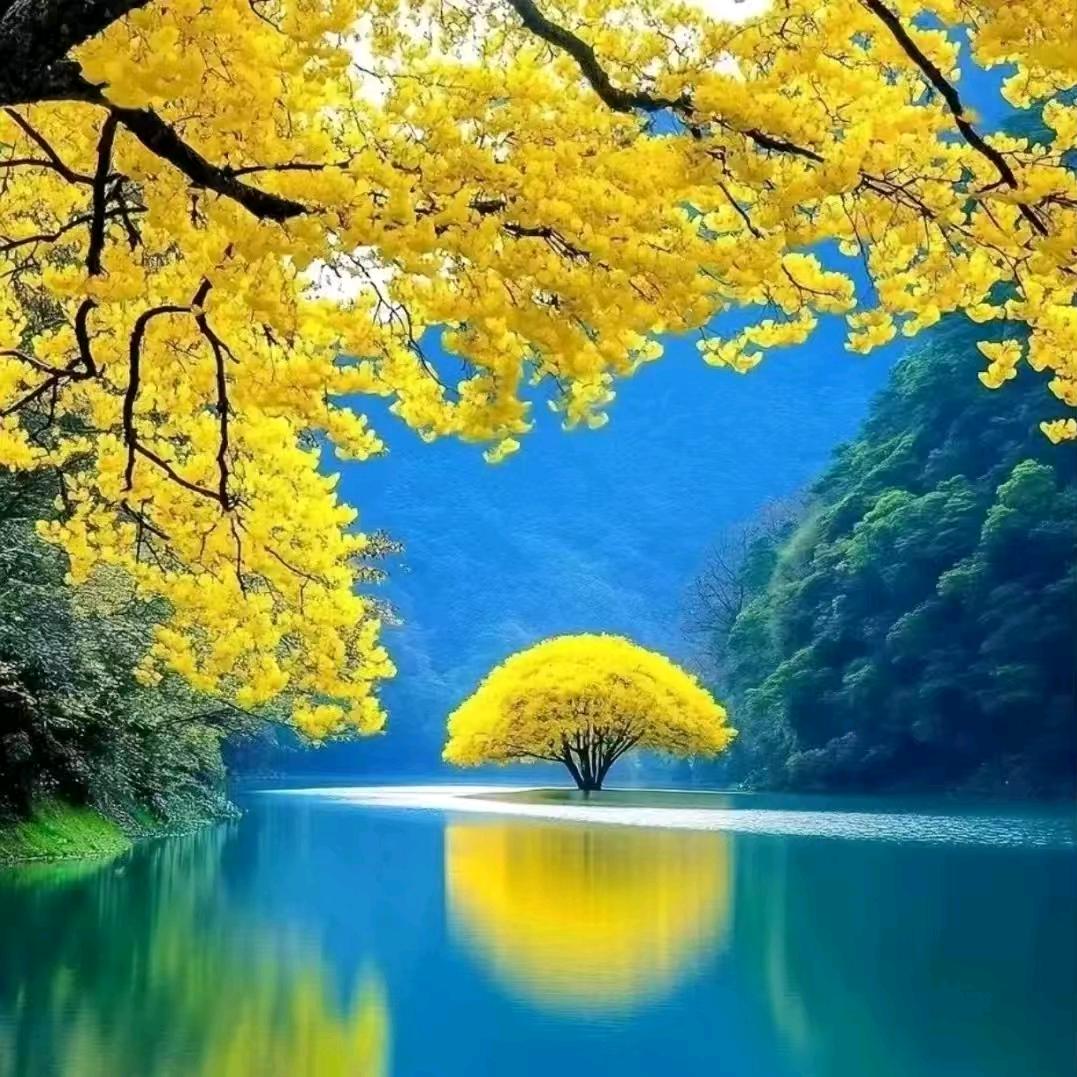 沉默