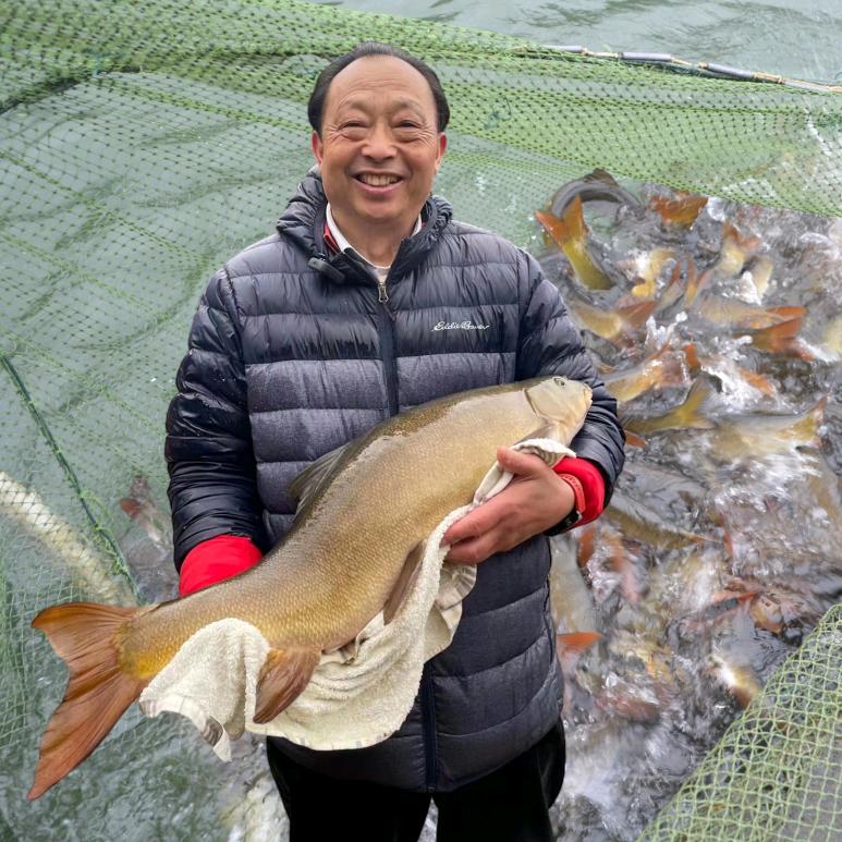 雅安周公河雅鱼