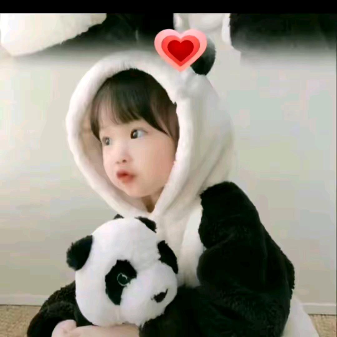 理想🦋