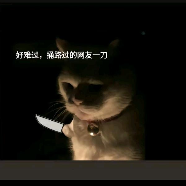 Σ.钱扶鸽🌊⁰⁹₂₅