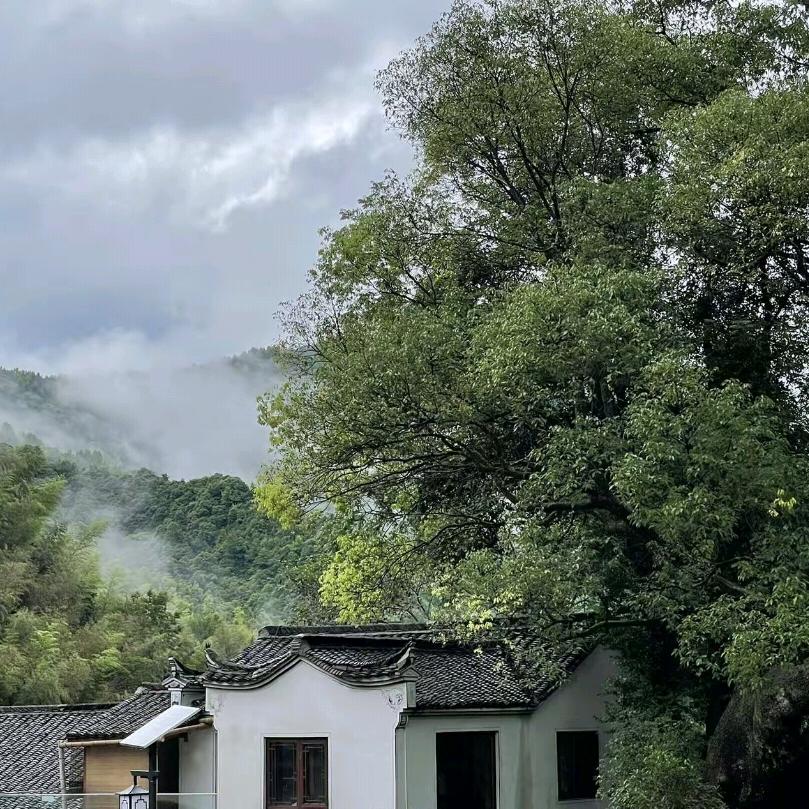 张银生活精选屋