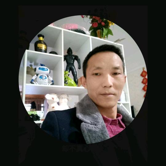 ｡￫v皓月星辰￩｡