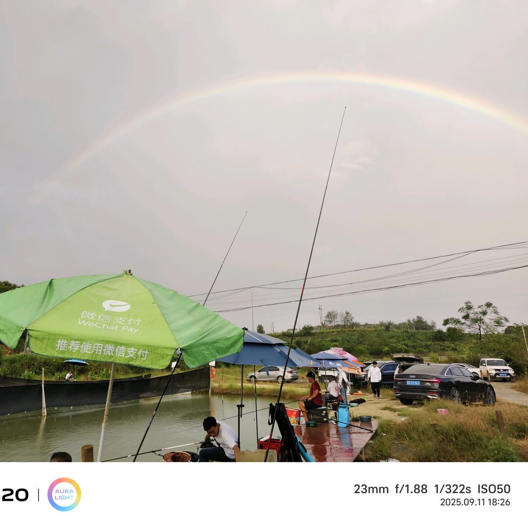 阿拉花果山鲤鱼塘