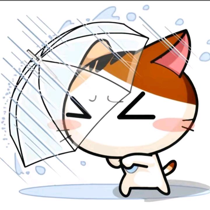 悲伤小蛋挞