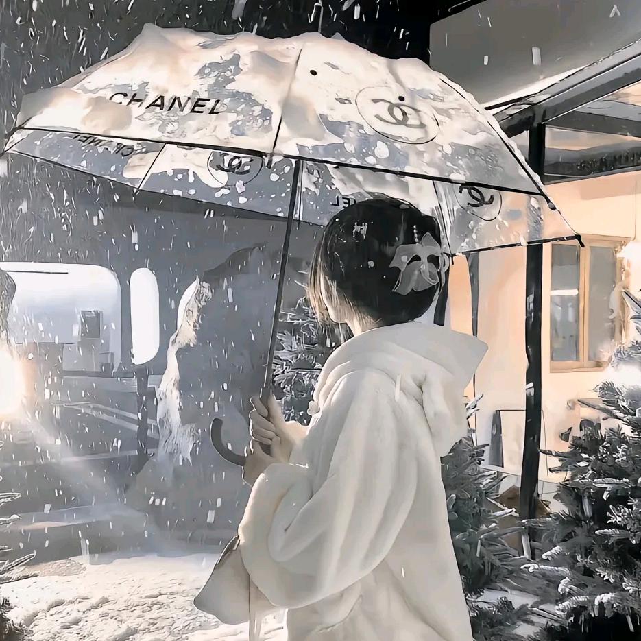 呆呆鱼（喆粉）