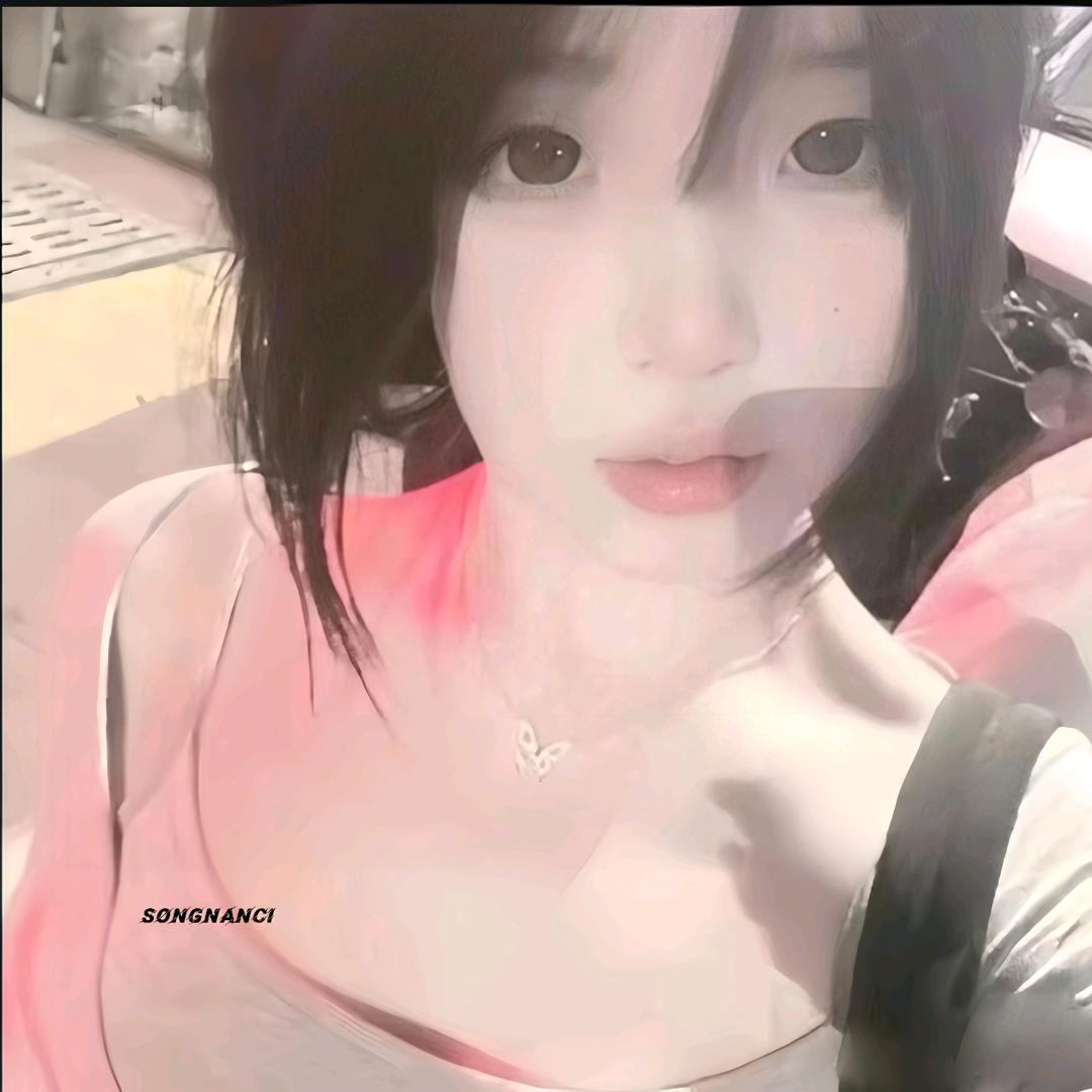 宋楠辞