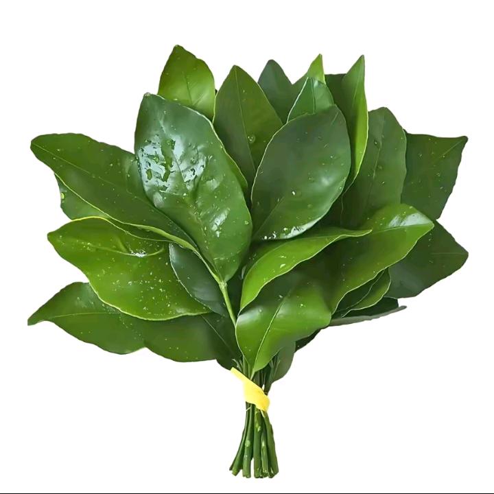 团子今天吃饱了嘛