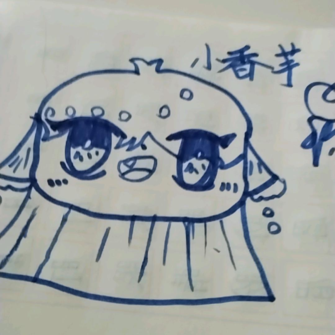 MS曼纱窗帘布艺