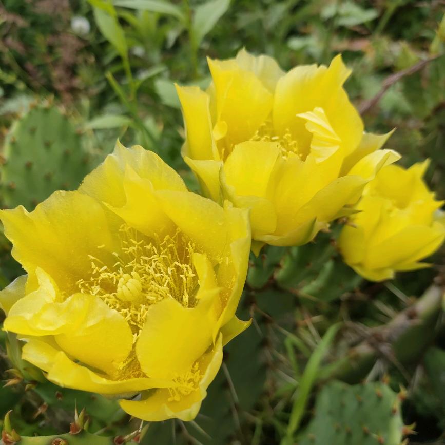 再甜的糖都不甜