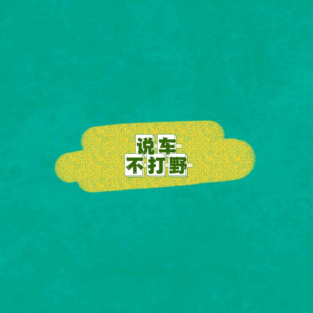 说车不打野@抖音