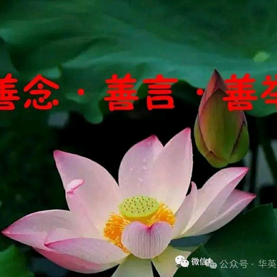 留余