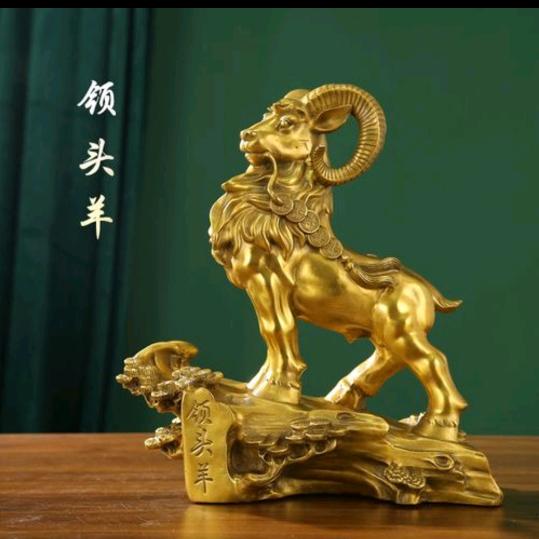 暖羊羊